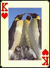 penguins