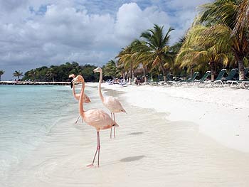 Flamenco beach bounty